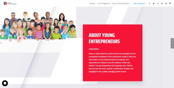 OPTION 2: YoungE Affiliate Rented Website without domain name - Image 3